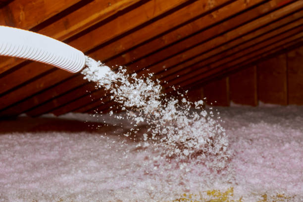 Best Eco-Friendly Insulation in Lamar, MO