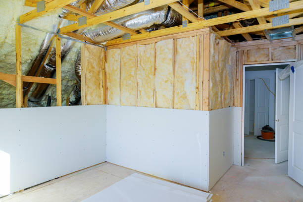 Best Cellulose Insulation in Lamar, MO