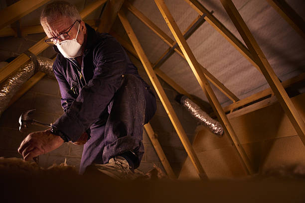 Best Spray Foam Insulation in Lamar, MO