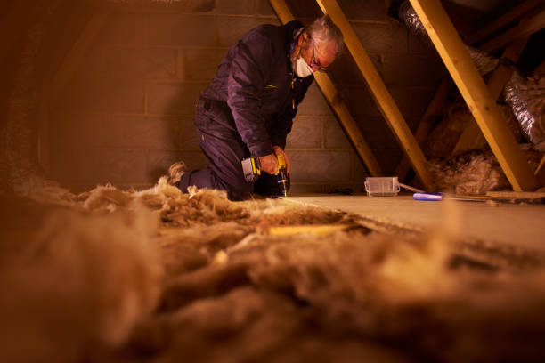 Best Fiberglass Insulation in Lamar, MO