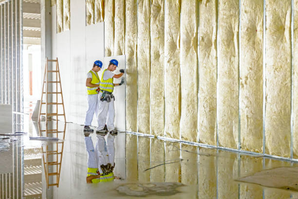 Best Specialized Insulation Services in Lamar, MO